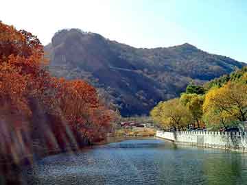 新澳天天开奖资料大全旅游团，卷管厂